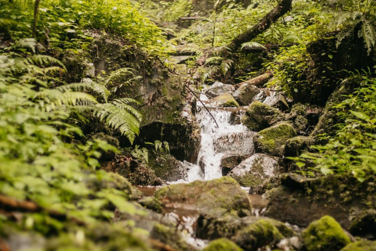 Mount Sheba Rainforest Hotel & Resort Pilgrimʼs Rest Dış mekan fotoğraf