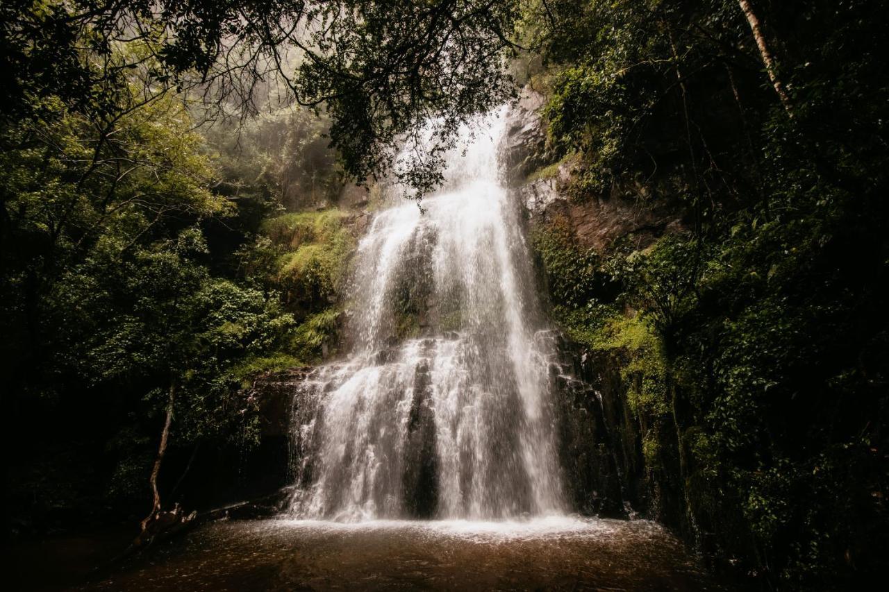 Mount Sheba Rainforest Hotel & Resort Pilgrimʼs Rest Dış mekan fotoğraf